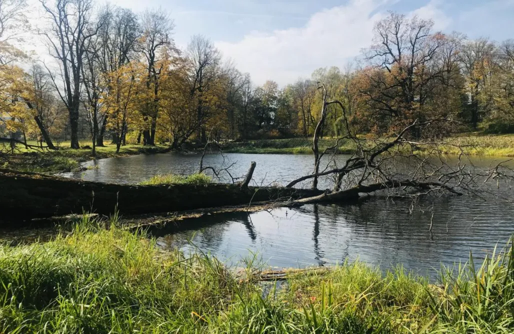 Unterkunft AlohaCamp Myszkowska Chata  1