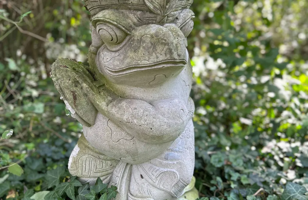 Ferienhaus direkt am Strand Pilsumer Hof 1