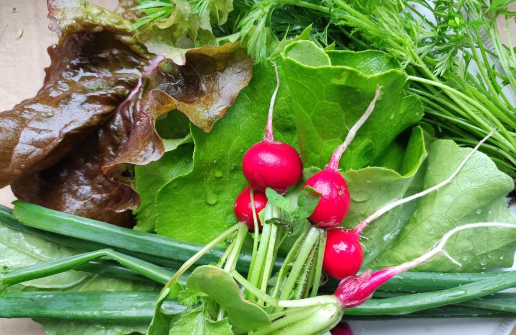 AlohaCamp Pracownia Boruja: Pokój niebieski (2 os.) 1