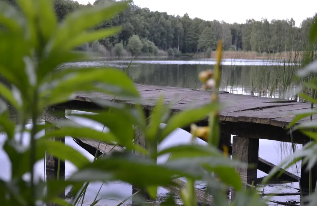 noclegi AlohaCamp Siedlisko Ikigai 1