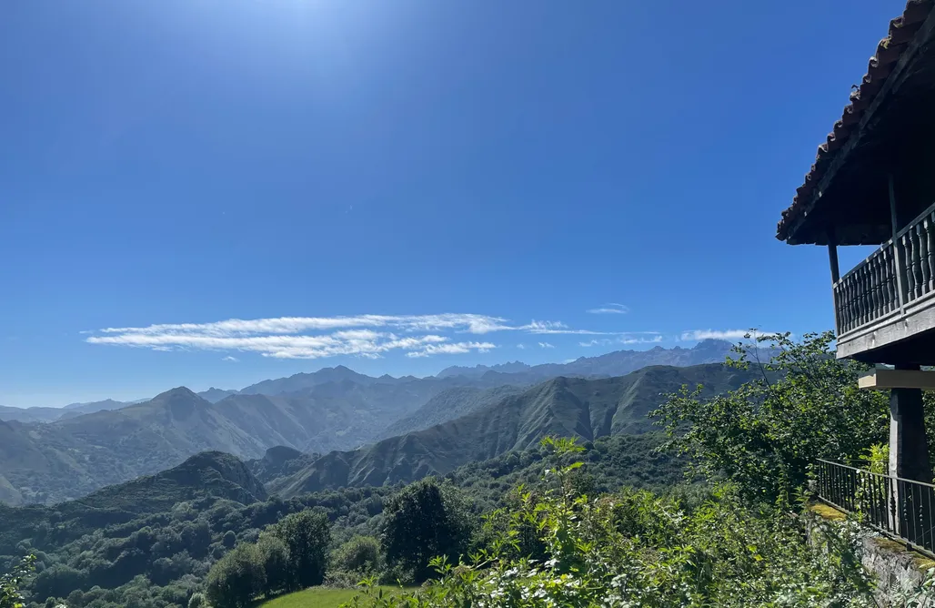 Vete Polo Segau AlohaCamp