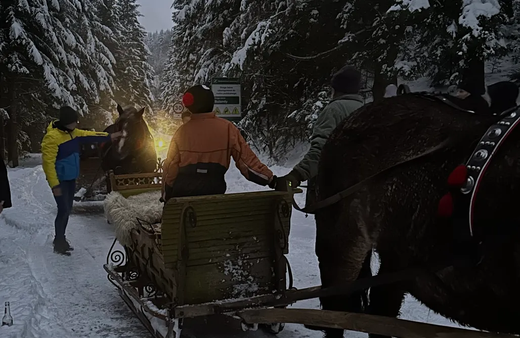 AlohaCamp Rajskie Wzgórze Słoikowo 1