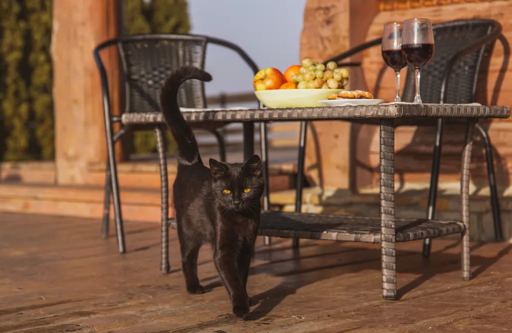 AlohaCamp Osada Koniówka domek C  1