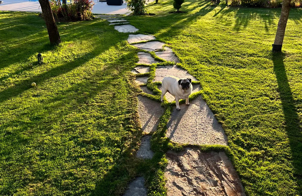 ubytovanie AlohaCamp Villa Albaredo 1