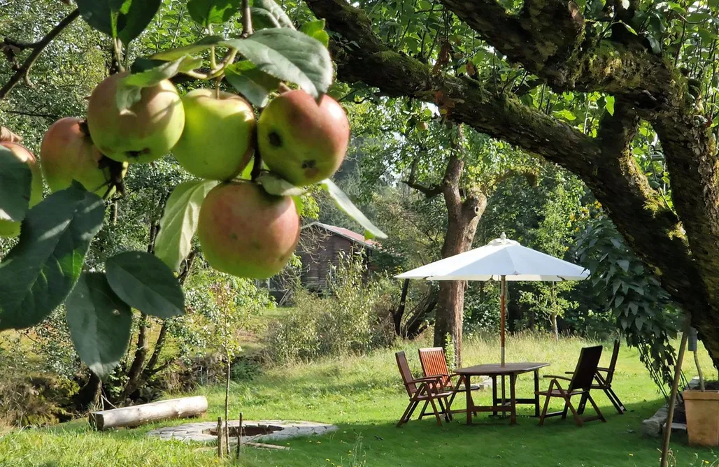 Kurzurlaub Holzhaus mit Kamin - Am Forellenfluss 1
