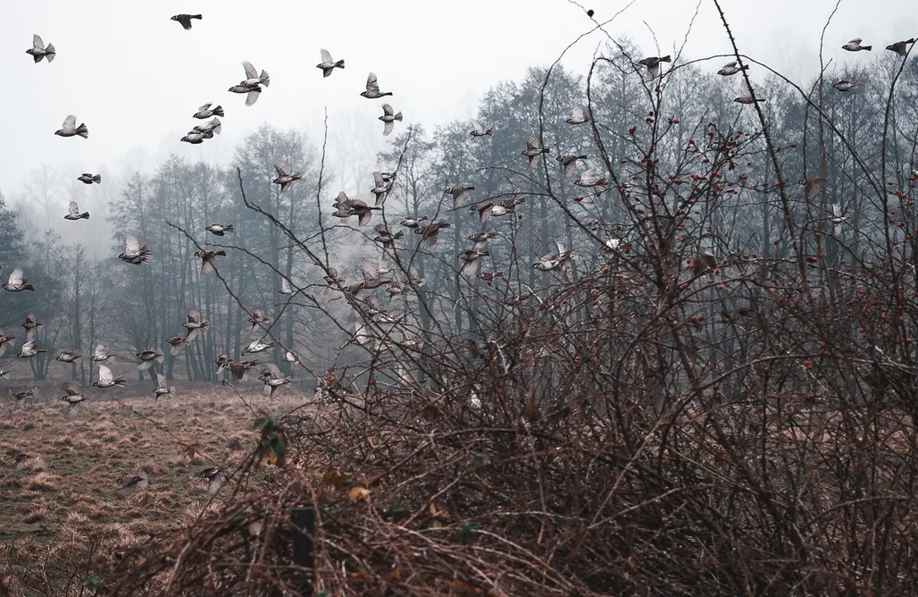 AlohaCamp accommodation Wietorówka 1