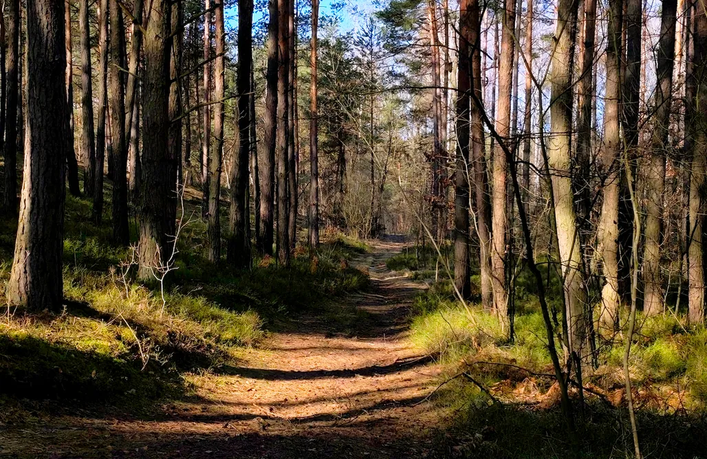 Tiny Cottage tylko dla Dwojga - Agro Glamping Kozia Farma AlohaCamp