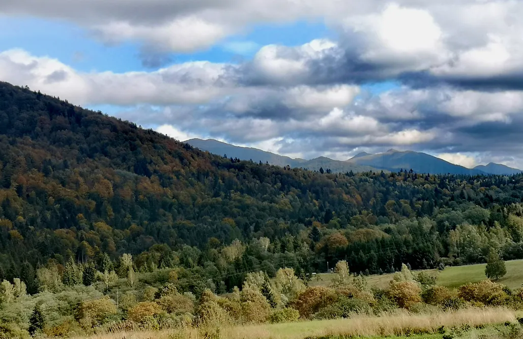 AlohaCamp Pod Gwiazdami C (ORION) 1