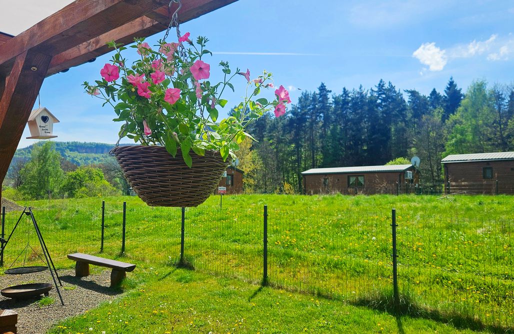 AlohaCamp Modraszek nr 1 1