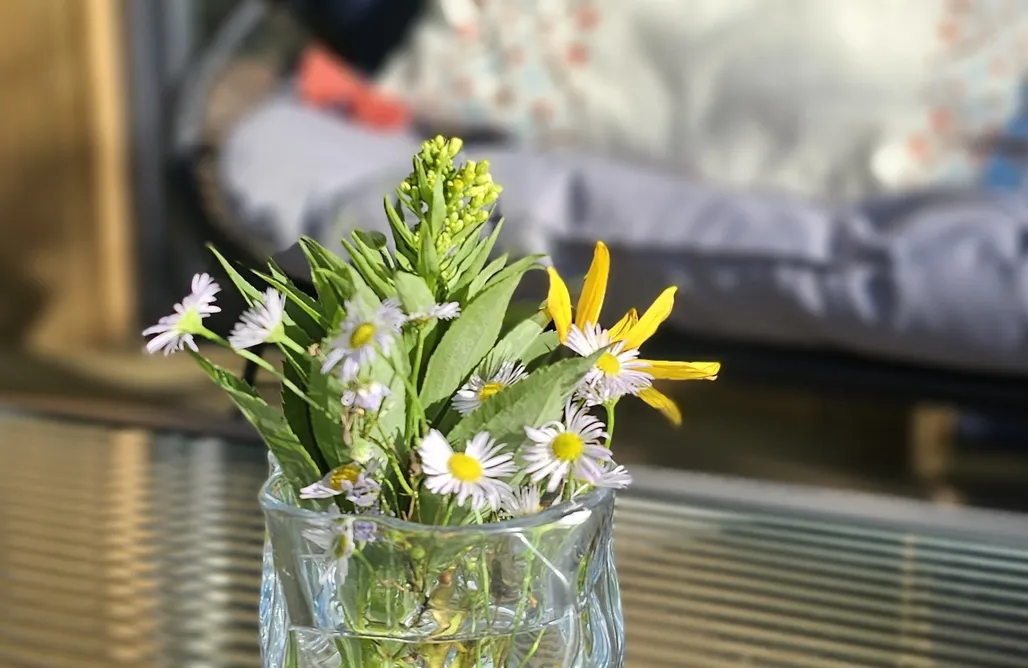 AlohaCamp Miejscówka 1 - Domek z rzeką 1