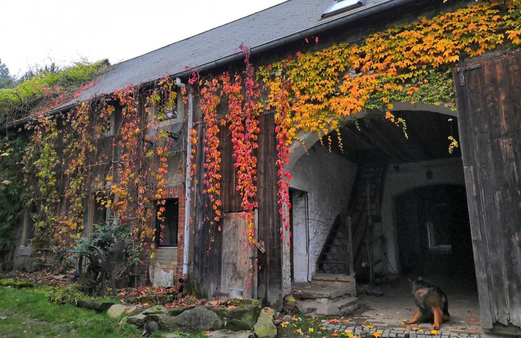 Agroturystyka Dolnośląskie ze zwierzętami Ekoturystyka Nowina 2