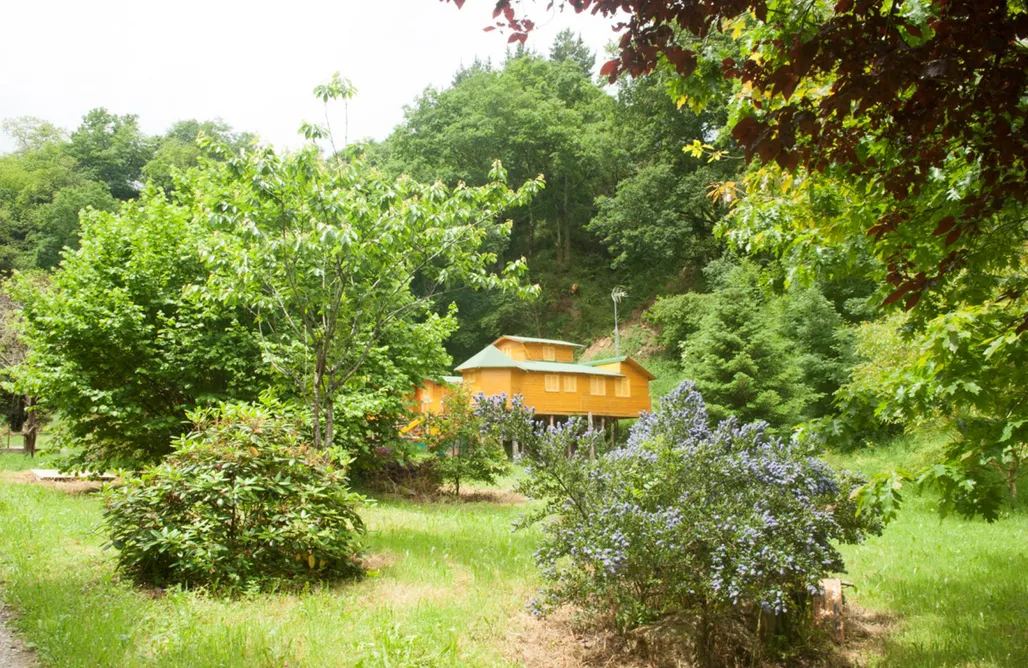 Alojamiento en El Tejo Cabañas del rio molinos Sociedad Limitada 3
