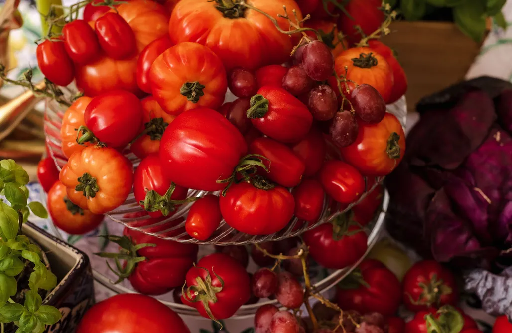 noclegi AlohaCamp W Lesie Zaklęty 1