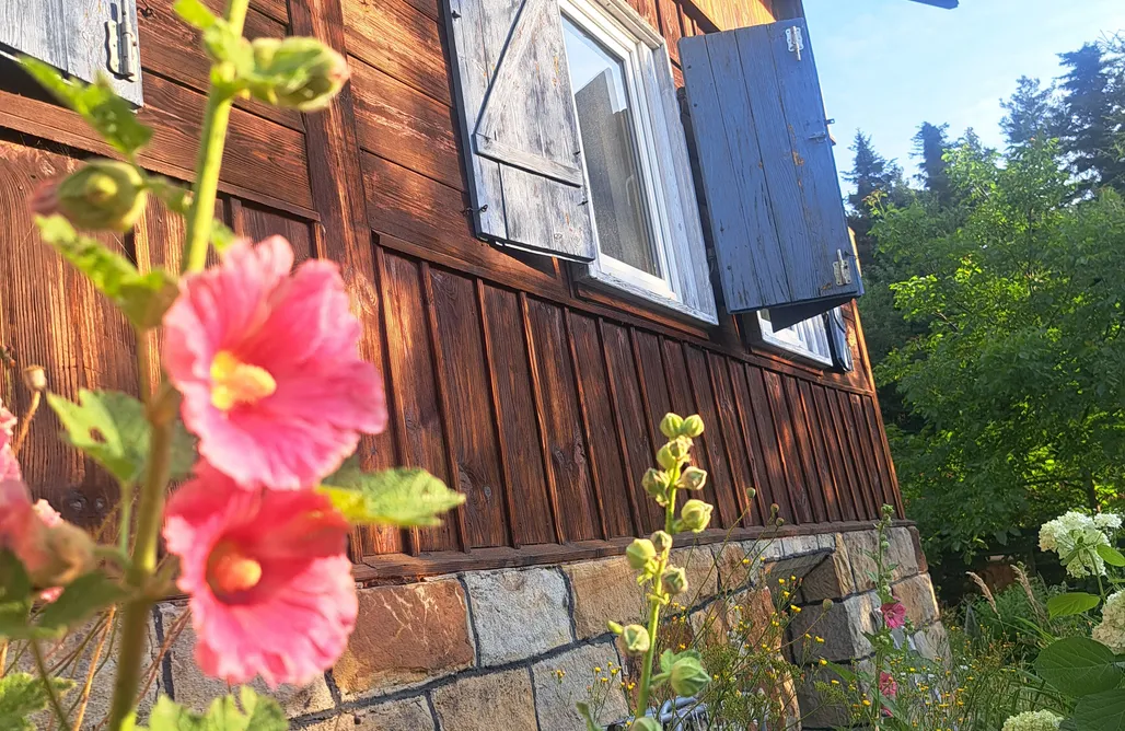 Sommerurlaub Mit Kindern Zouza Wald Rückzugsort 3