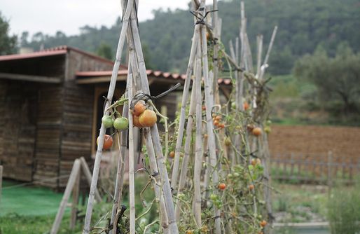 Imagen de Hortus