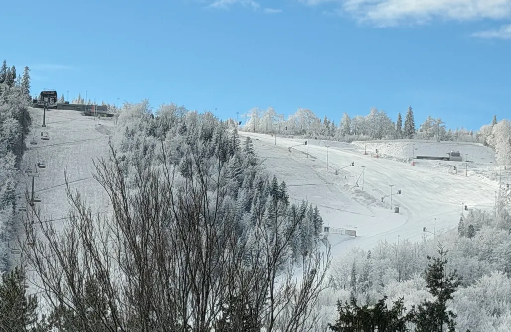 noclegi AlohaCamp Luxury Chalet Na Stromym Wzgórzu 1