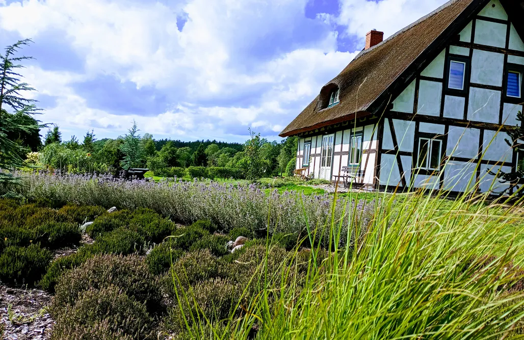 AlohaCamp accommodation Podroże Chëcz 2
