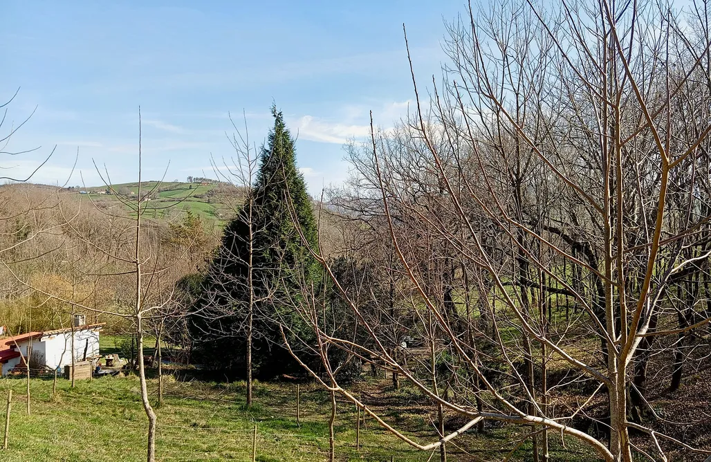 alojamientos AlohaCamp Sitio para tiendas de campaña - La Arrulla 5