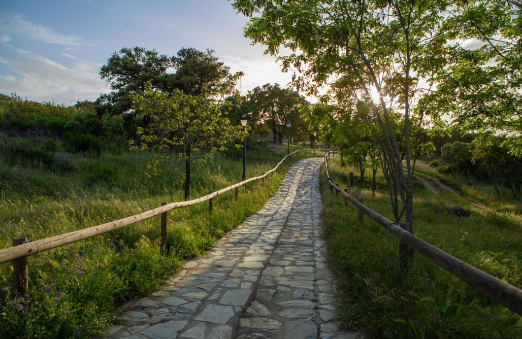 AlohaCamp Habitación doble matrimonio 1