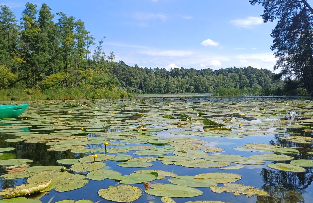 noclegi AlohaCamp Dom Między Łąkami 1