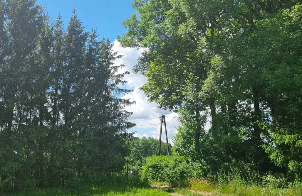 noclegi AlohaCamp Miejsce kamperowe - Kamperowisko Leleszki 4