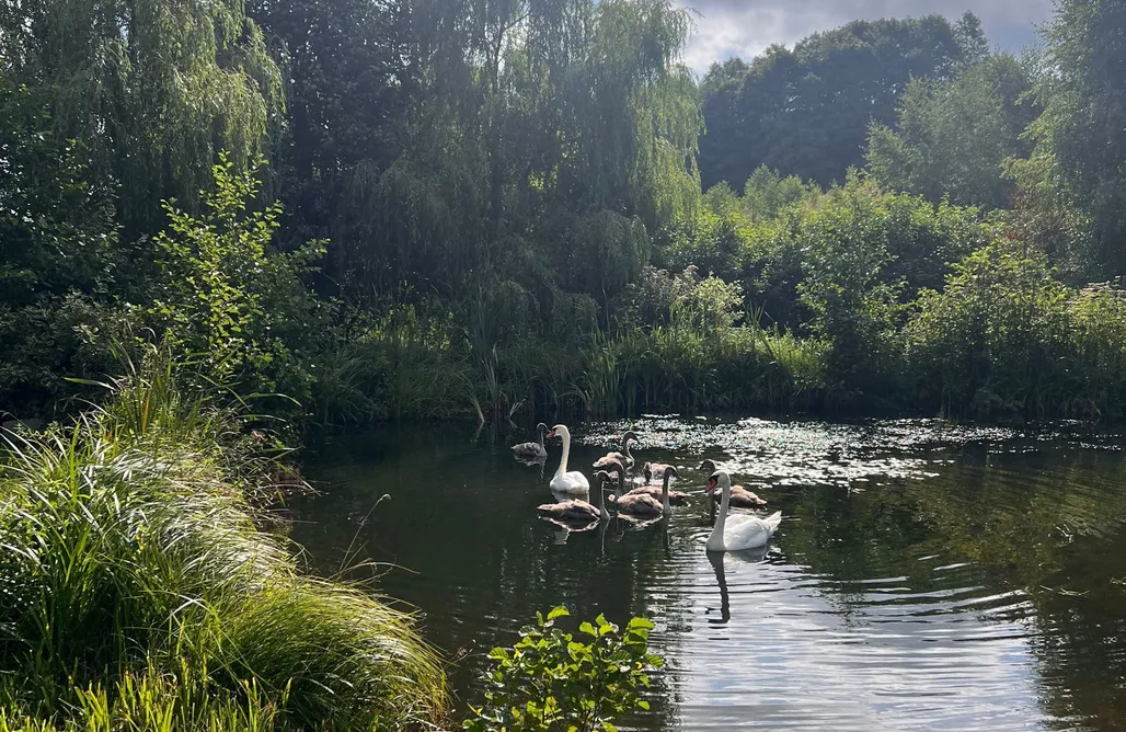 noclegi AlohaCamp Otulina Rospudy B 1