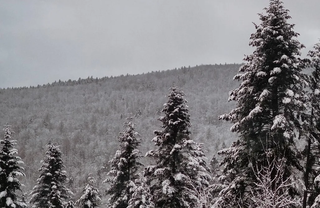 noclegi AlohaCamp Chata Beskidu 1