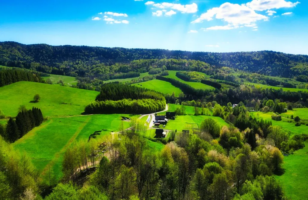Domki Solina Żubrowe Wzgórze - Domki 6 os. 1
