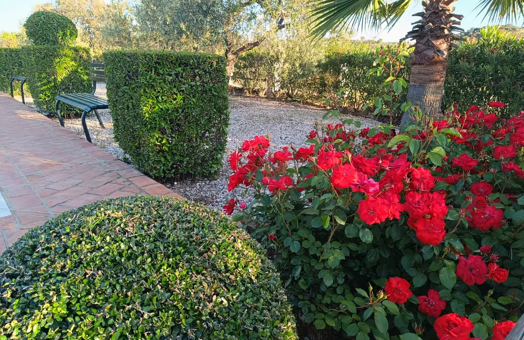 alojamientos AlohaCamp Casa Rural La Loba 1