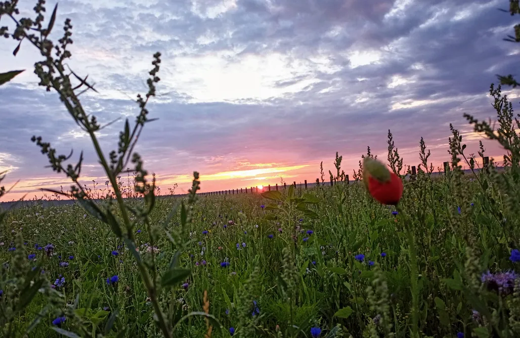 Agroturystyka Śląsk  GRETA  - Domek modułowy nad stawem przy lesie  1