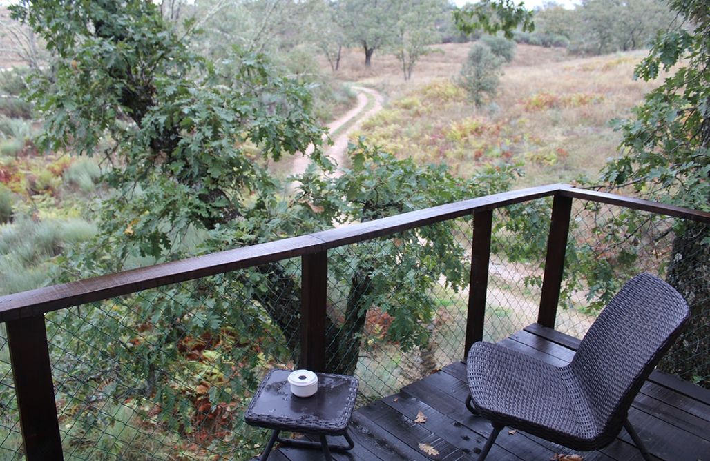 noclegi AlohaCamp Cabaña del bosque 4