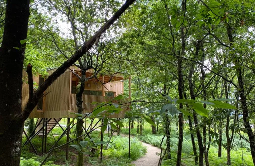 Casas rurales Castilla y León Enoturismo Maria Manuela 3