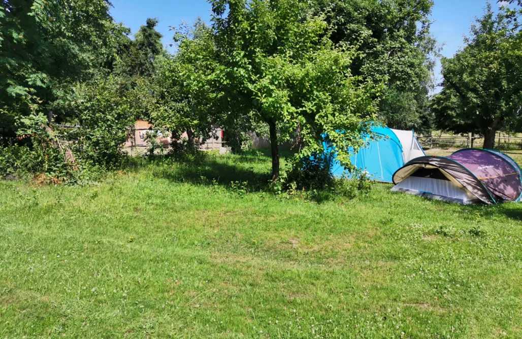 AlohaCamp Campsite at Feel free farm 1