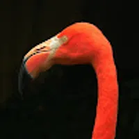 Krzysztof użytkownik