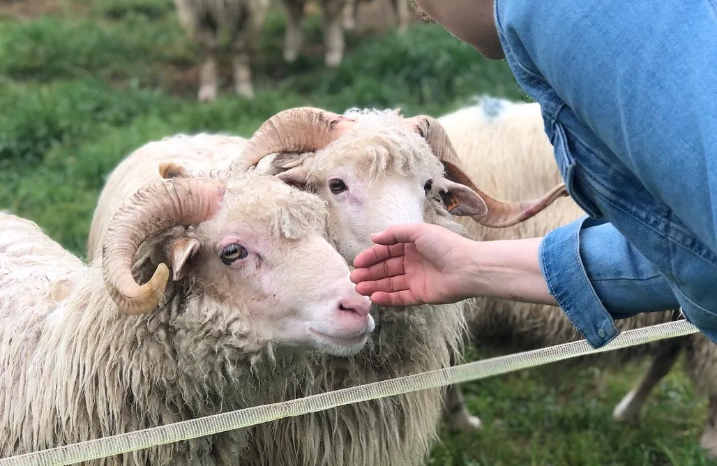 Agroturystyka Domki Domek na Suchej Górze 1