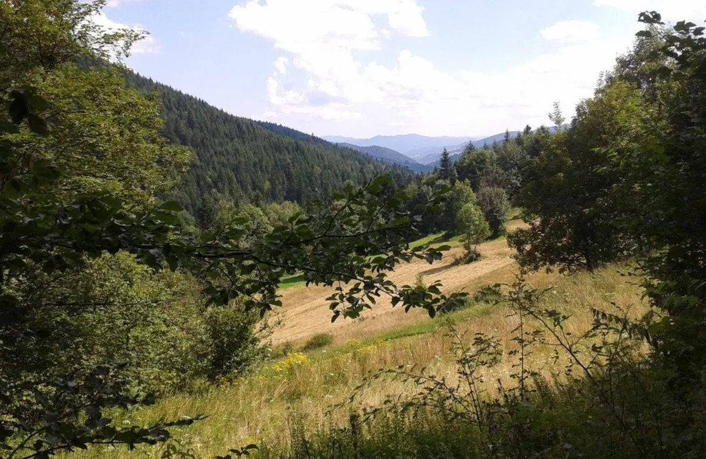 noclegi AlohaCamp Hope Mountain Escape Poland - Wooden Cabin 4