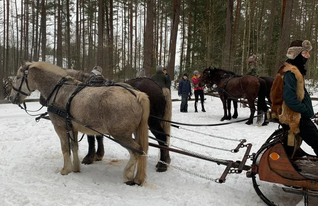 noclegi AlohaCamp Dzikie Historie Młynik / dwa domy 1