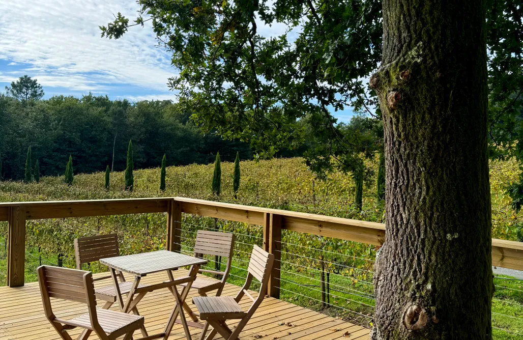 Casas rurales Castilla y León Enoturismo Maria Manuela 1