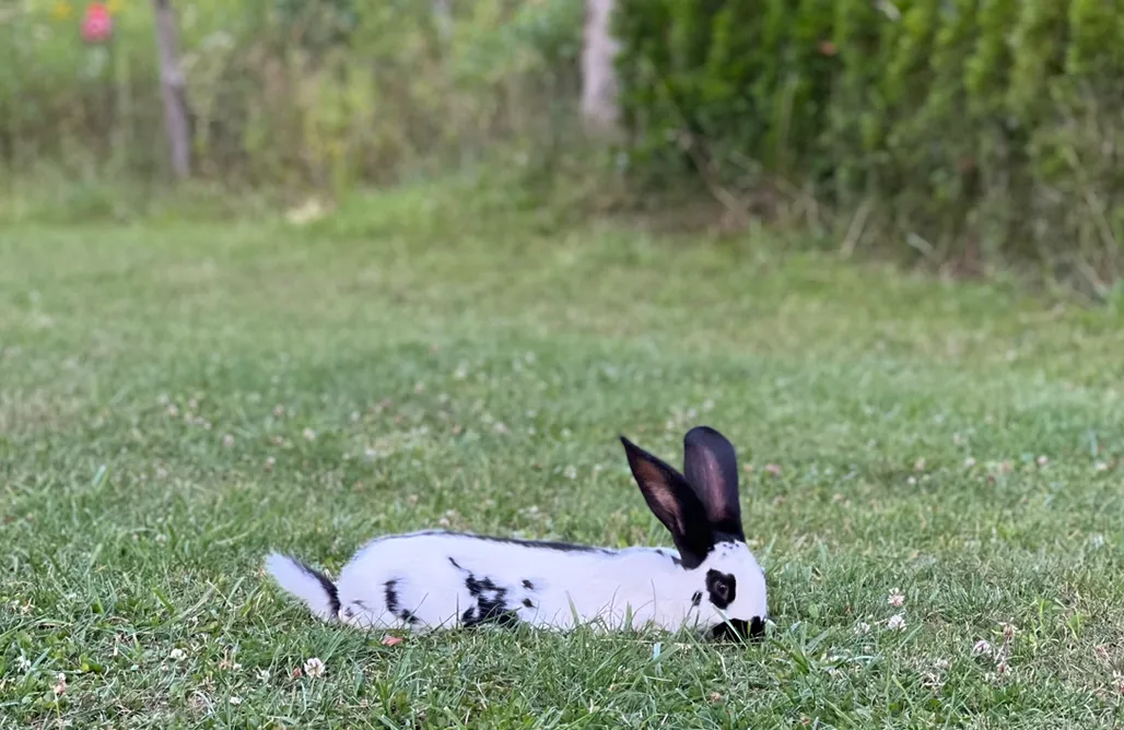 AlohaCamp Gabriela 1