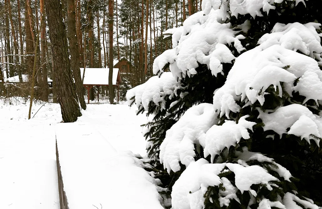 noclegi AlohaCamp Masuria Warsaw 4