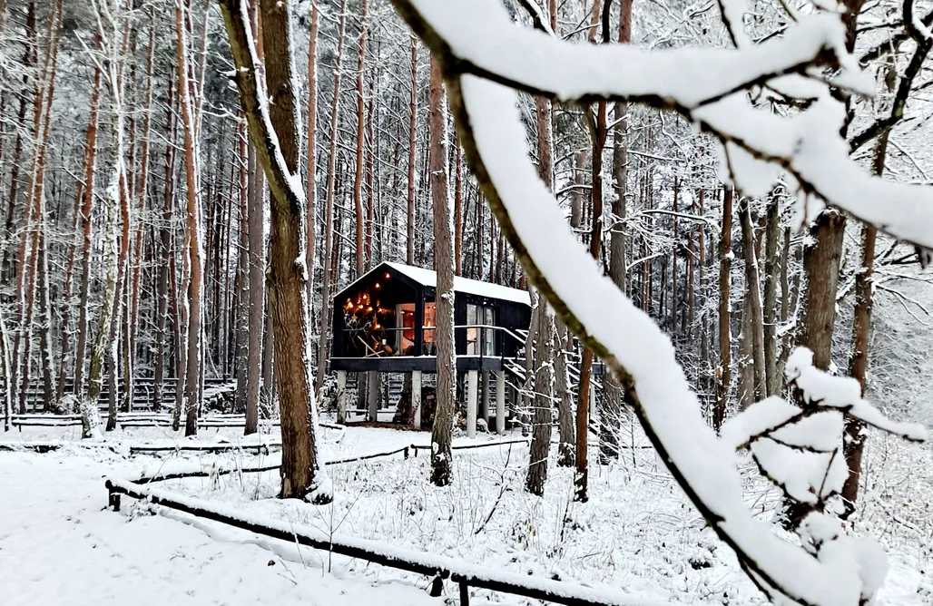 Unterkunft AlohaCamp Sosnowa Kryjówka 2