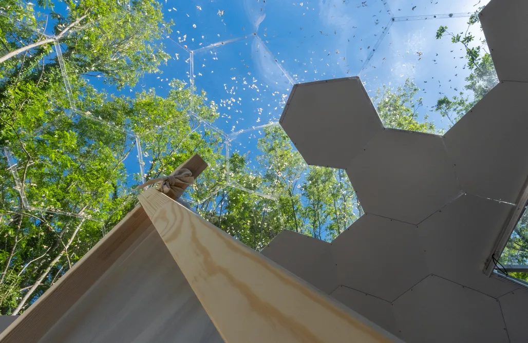 Glamping Lombardia Dome Islanda - Cinque Terre 1