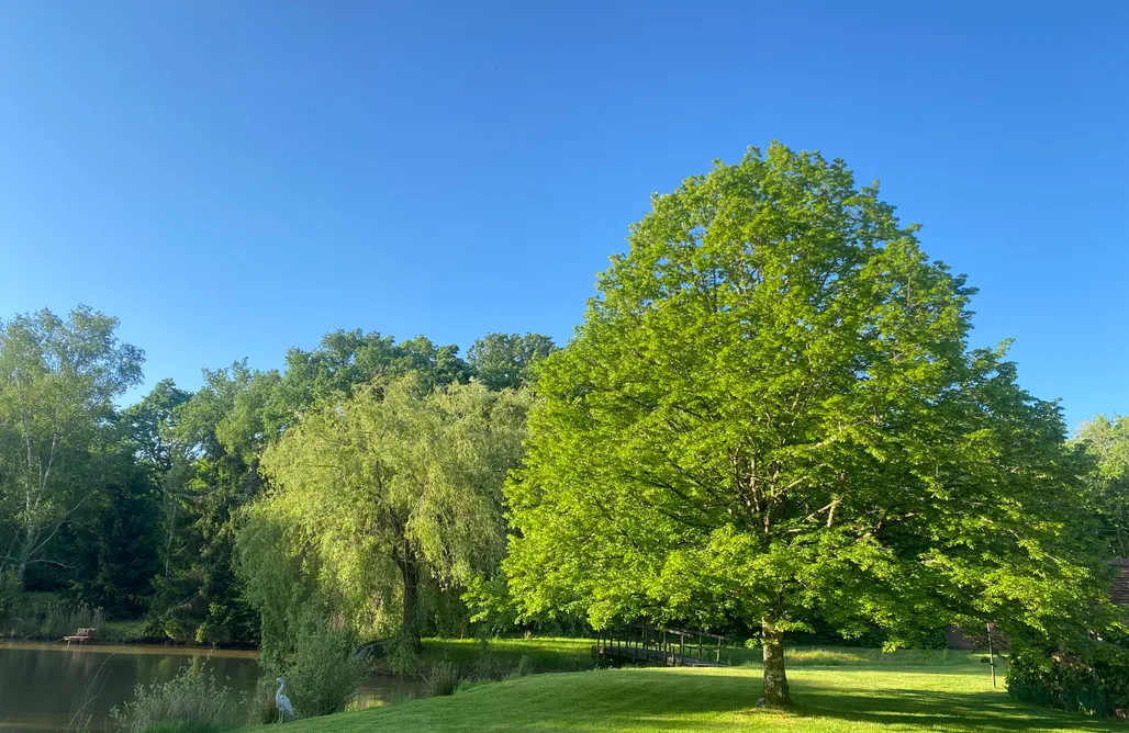 hebergement AlohaCamp Gîte Douglas 4