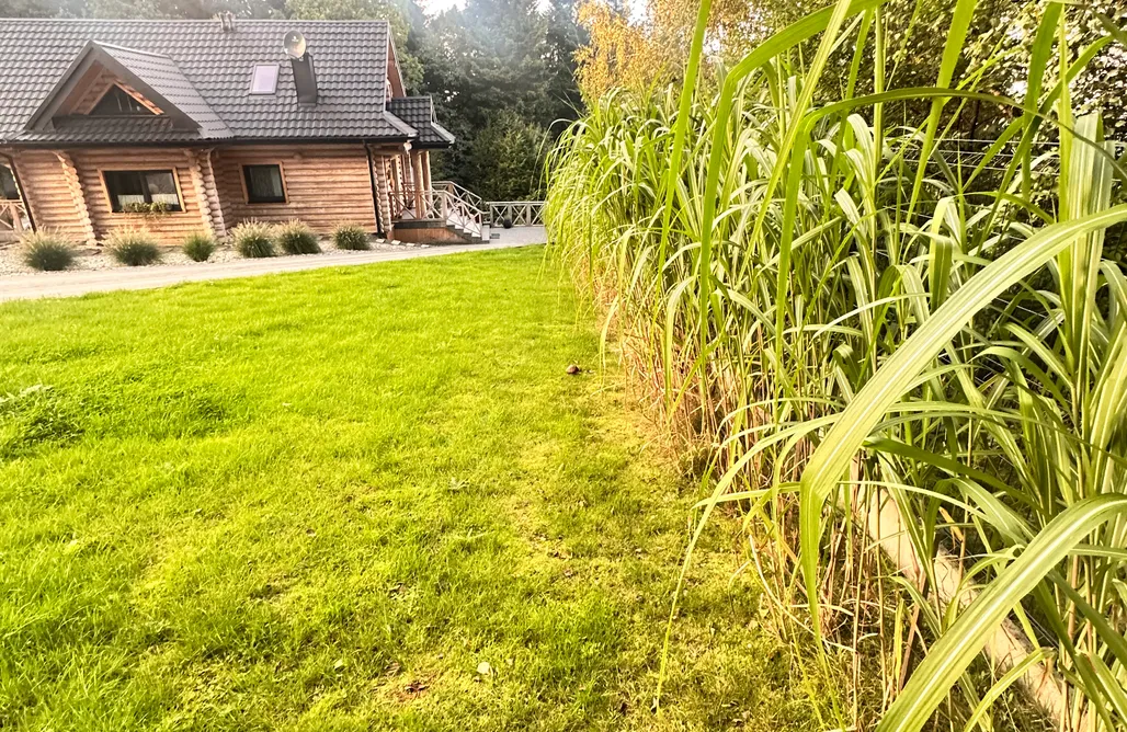 Alloggio AlohaCamp Chałupy w lesie 1