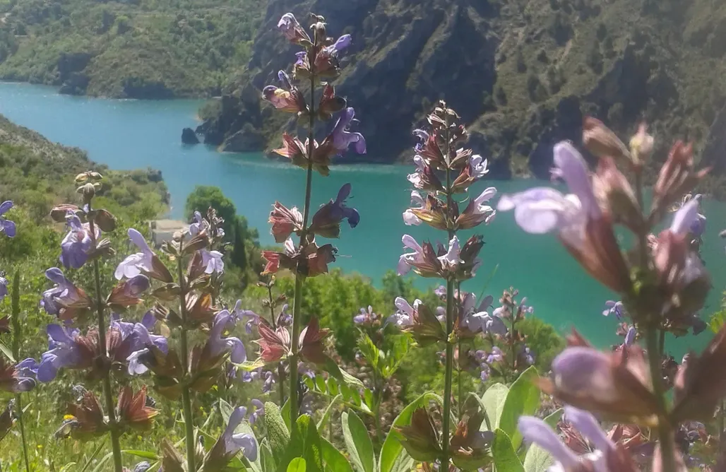 alojamientos AlohaCamp Cabaña en Guejar Sierra: Alcazaba 5