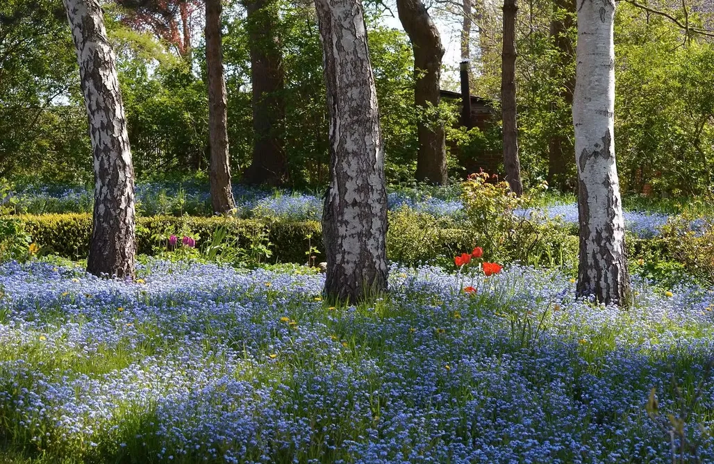 Wakacje First Minute Beltblick 1