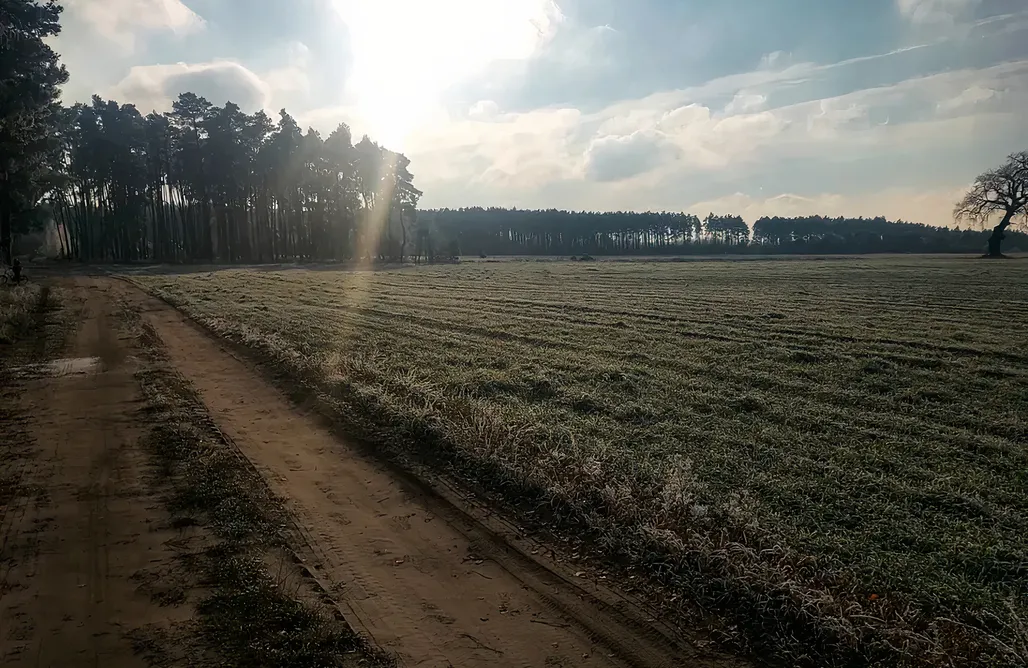 Unterkunft AlohaCamp Ranczo pod Lasem  4