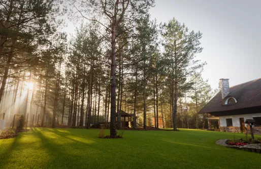Zdjęcie obiektu Leśna Strzecha Apartamenty