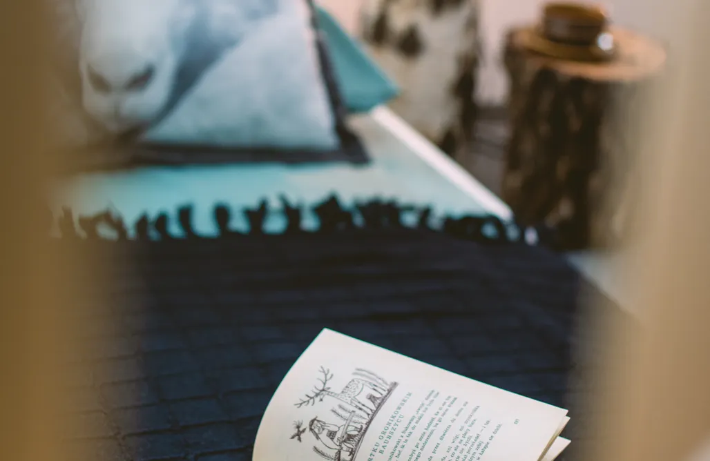 Beskid Żywiecki noclegi Owca za płotem 1