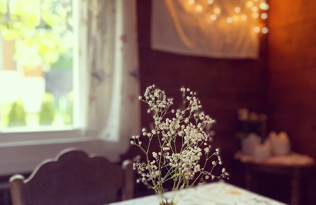 AlohaCamp Dom BAJKA 1